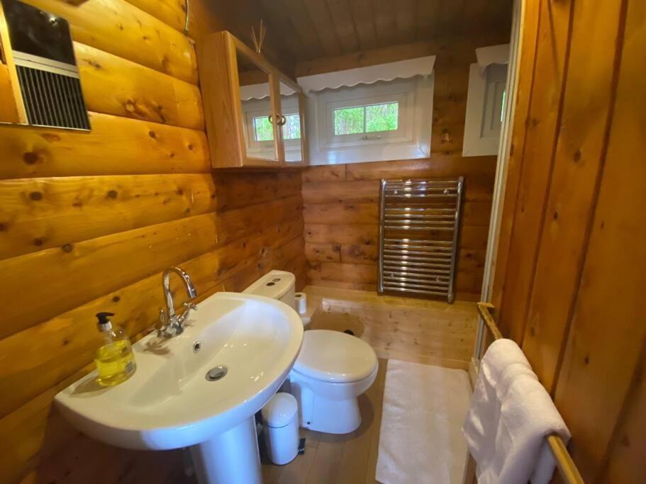 Вілла Cabin Trawsfynydd Екстер'єр фото